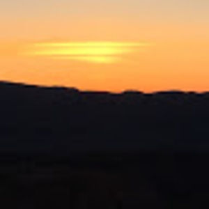 Meet your Posher, Ella